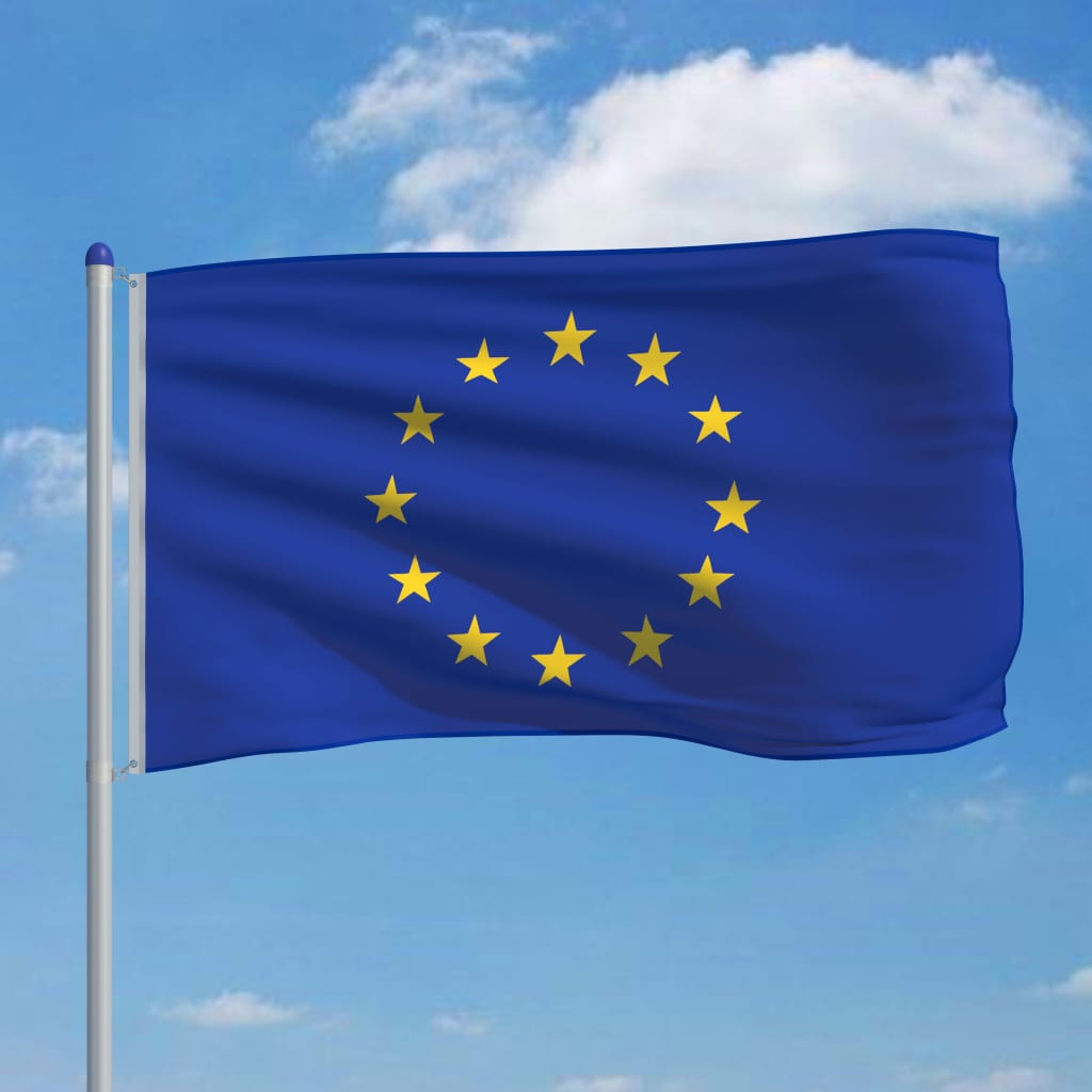 vidaXL Europe Flag and Pole Aluminium 6 m
