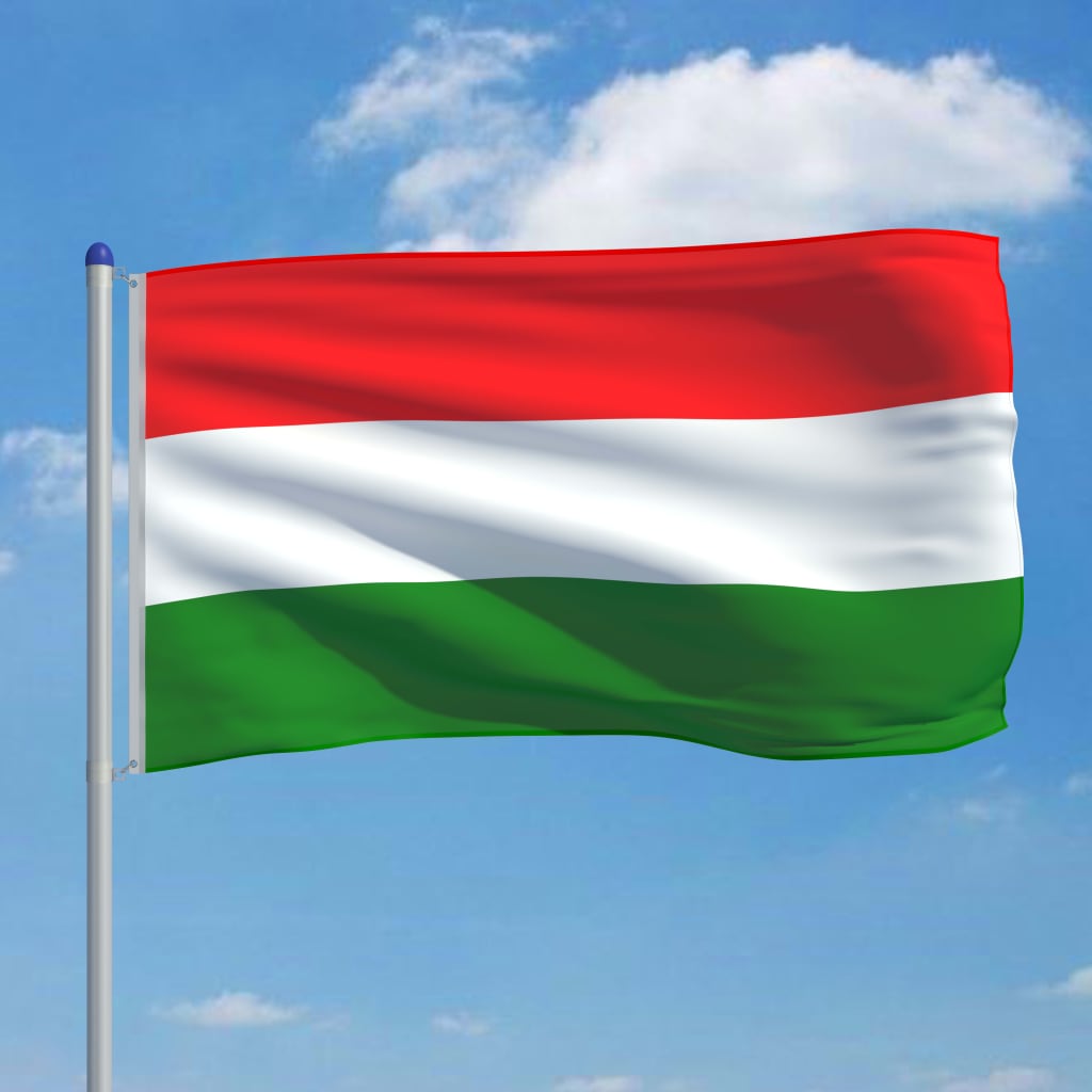 vidaXL Hungary Flag and Pole Aluminium 6 m