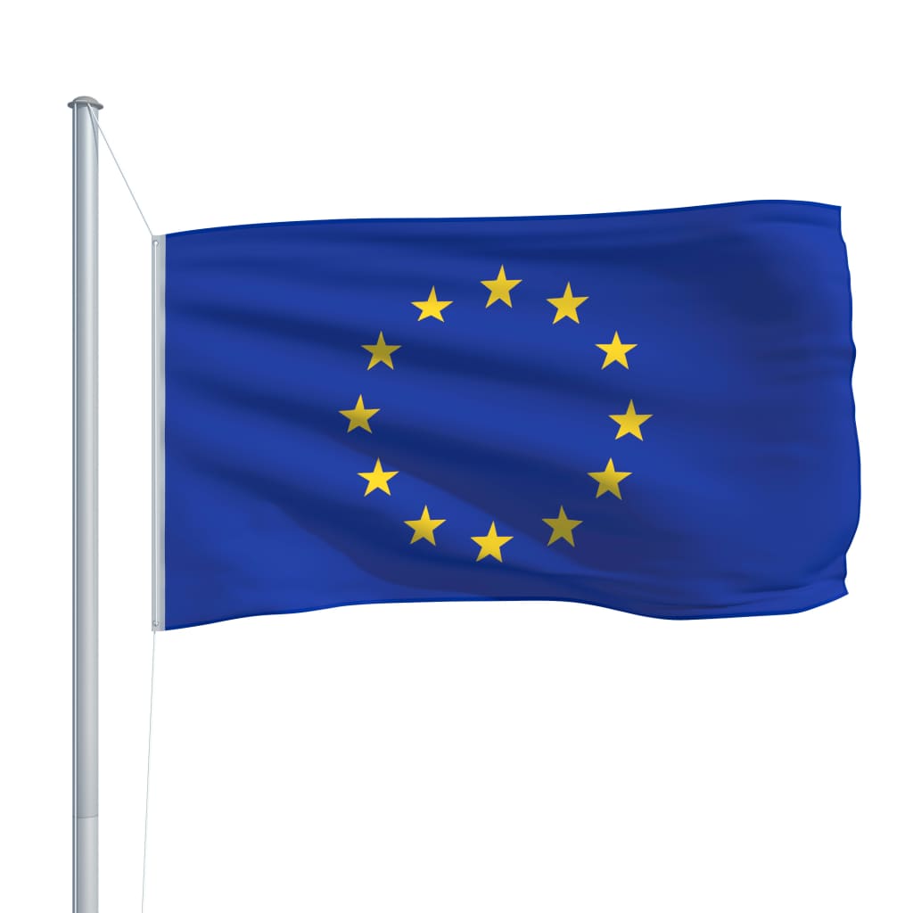 vidaXL Europe Flag and Pole Aluminium 6.2 m