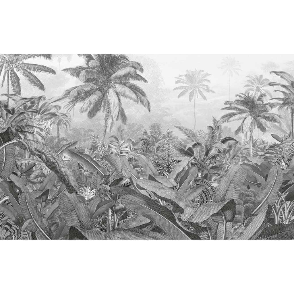 Komar Photo Mural Amazonia Black and White 400x250 cm