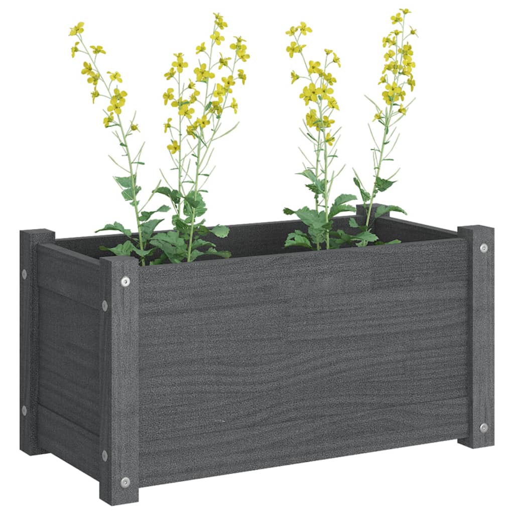 vidaXL Garden Planters 2 pcs Grey 60x31x31 cm Solid Pinewood