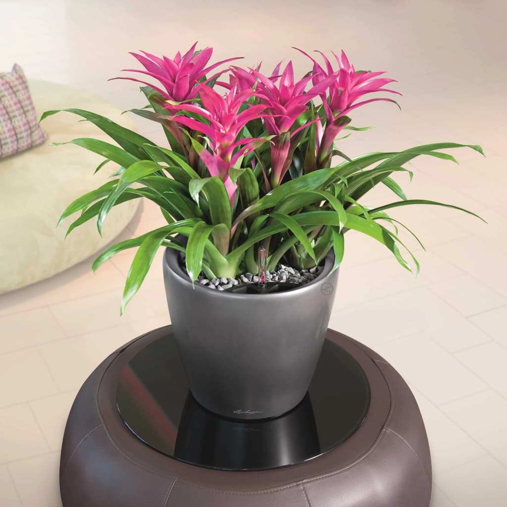 LECHUZA Planter CLASSICO LS 43 ALL-IN-ONE Charcoal Metallic 16083