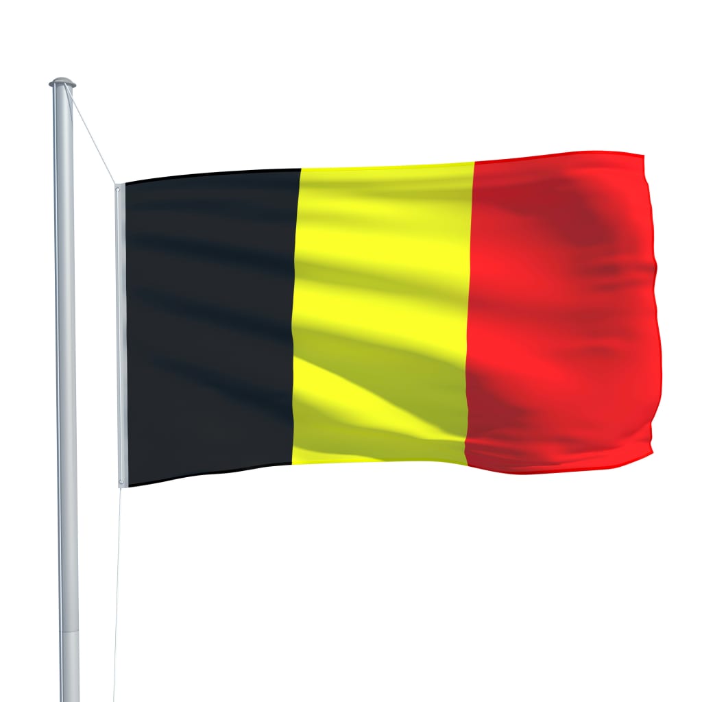 vidaXL Belgium Flag and Pole Aluminium 6.2 m