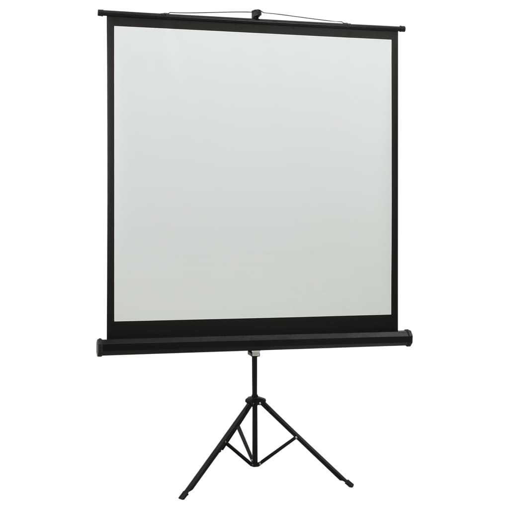 vidaXL Projection Screen with Stand 48" 1:1