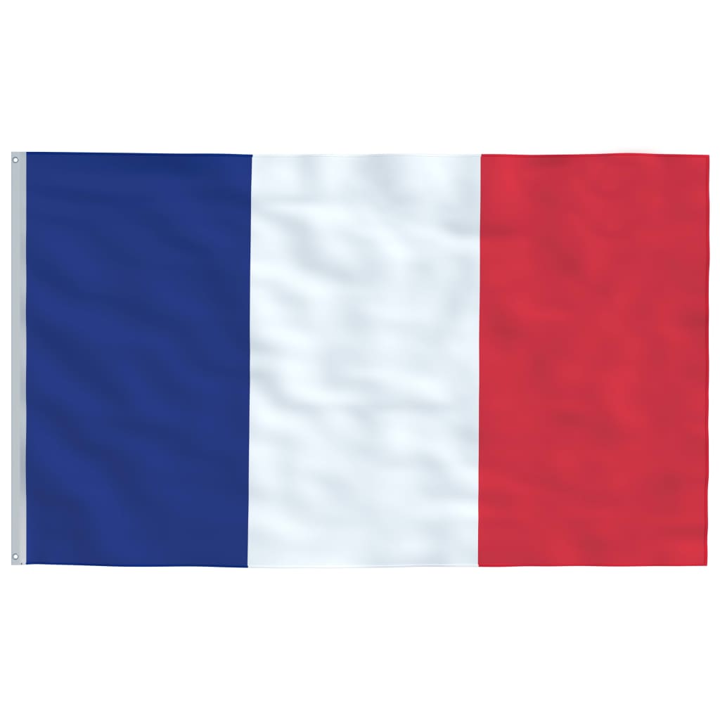 vidaXL France Flag and Pole Aluminium 6.2 m