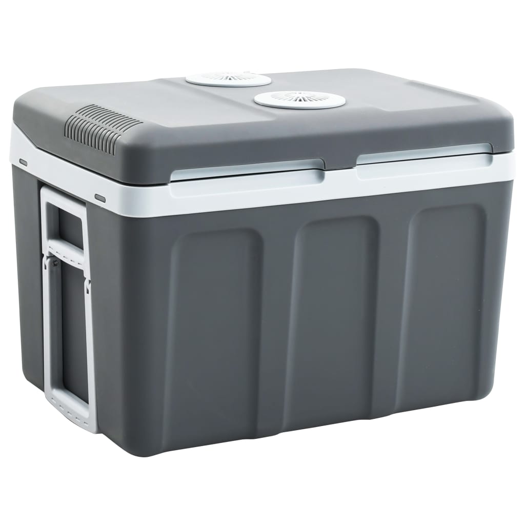 vidaXL Portable Thermoelectric Cooler Box 40 L 12 V 230 V E
