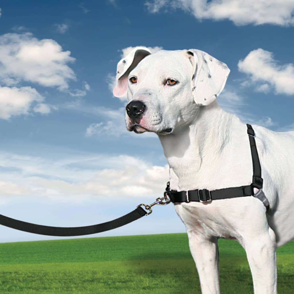 PetSafe Dog Harness Easy Walk M Black