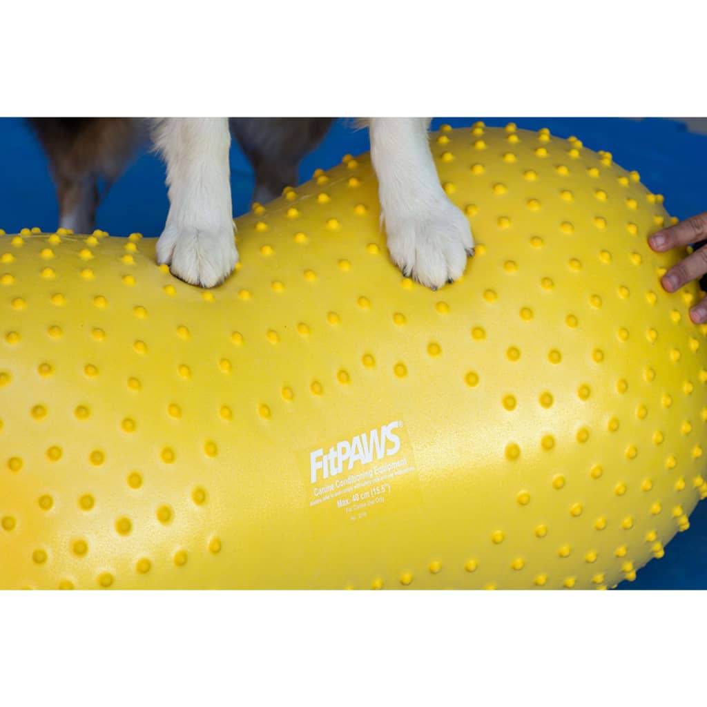 FitPAWS Pet Balance Platform Trax Peanut 40 cm Yellow