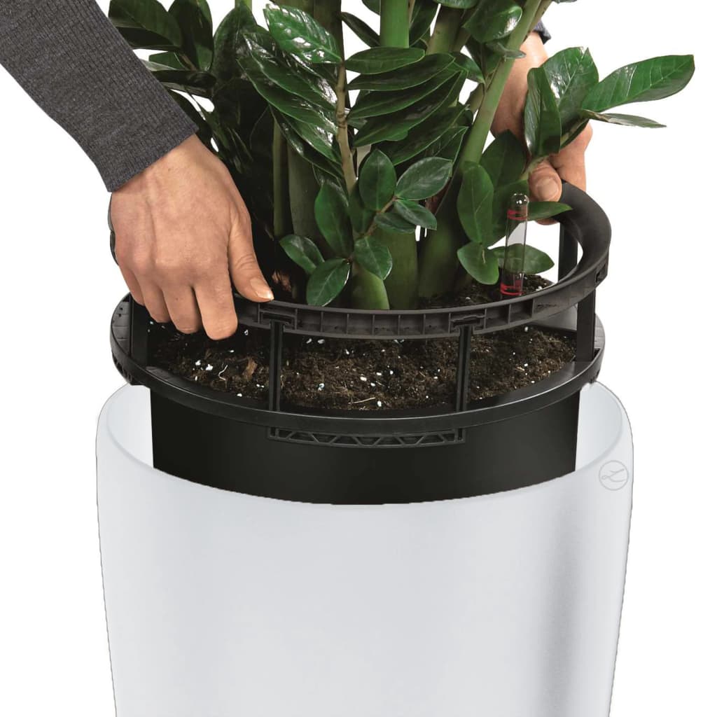 LECHUZA Planter Rondo 32 ALL-IN-ONE High-Gloss White 15780