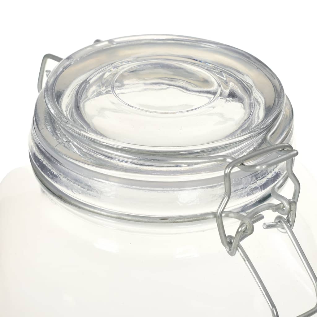 vidaXL Glass Jars with Lock 6 pcs 3 L