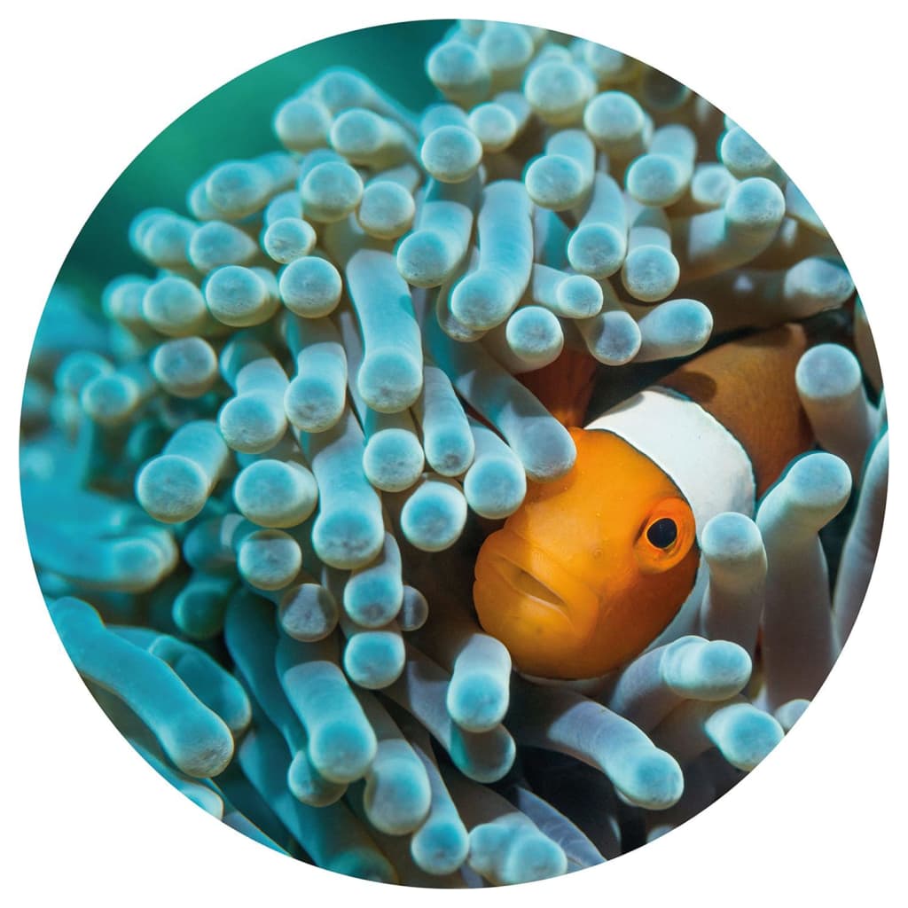 WallArt Wallpaper Circle Nemo the Anemonefish 190 cm
