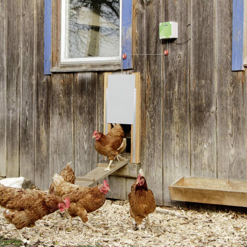 Kerbl Automatic Chicken Coop Door Set 220x330 mm 70547