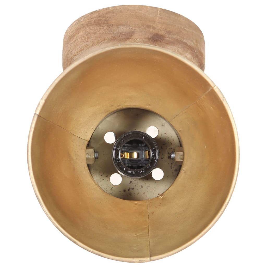 vidaXL Industrial Wall/Ceiling Lamps 2 pcs Brass 20x25 cm E27