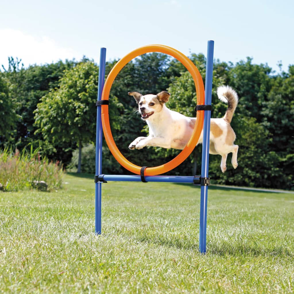 TRIXIE Dog Agility Ring 115x3 cm Plastic 3208