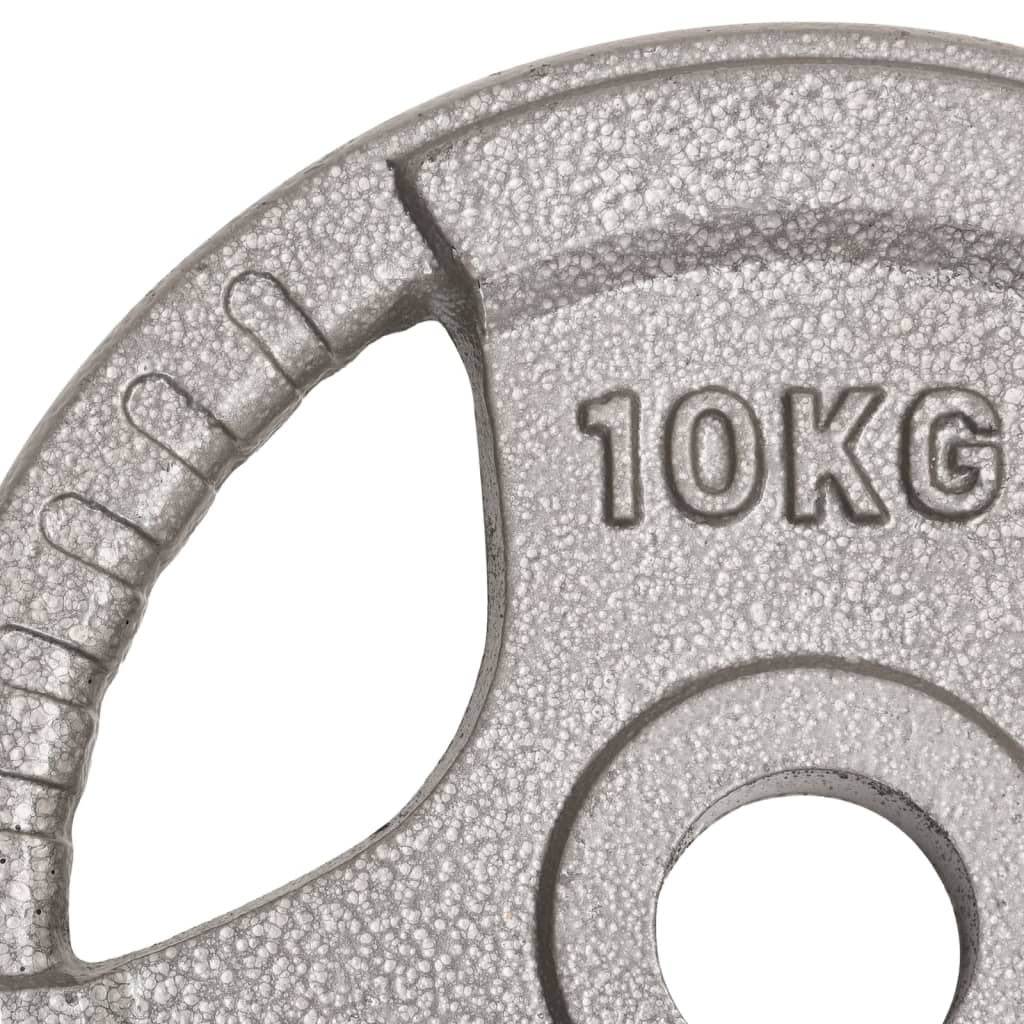 vidaXL Olympic Weight Plates 2 pcs 20 kg Cast Iron