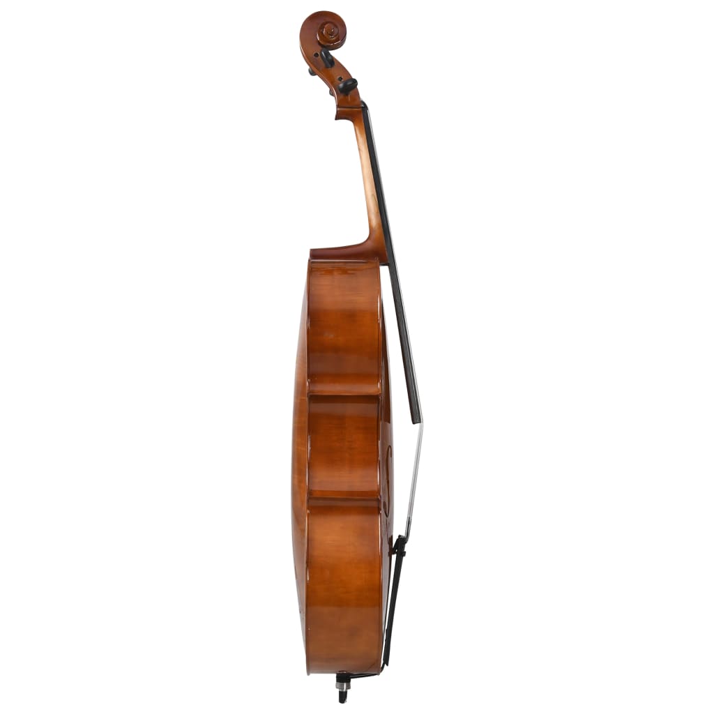 vidaXL Cello Full Set with Bag and Natural Hair Bow Dark Wood 4/4