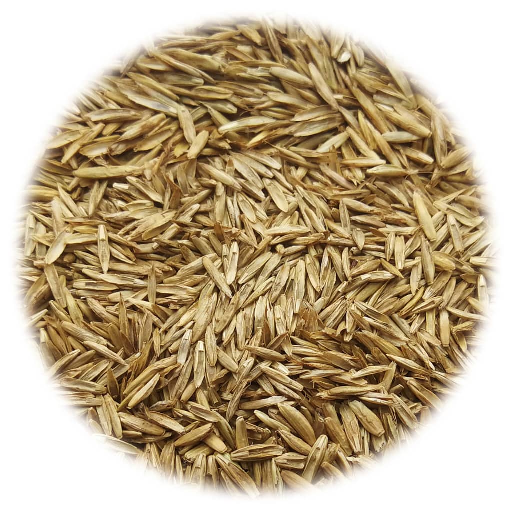 vidaXL Gazon Grass Seed 10 kg