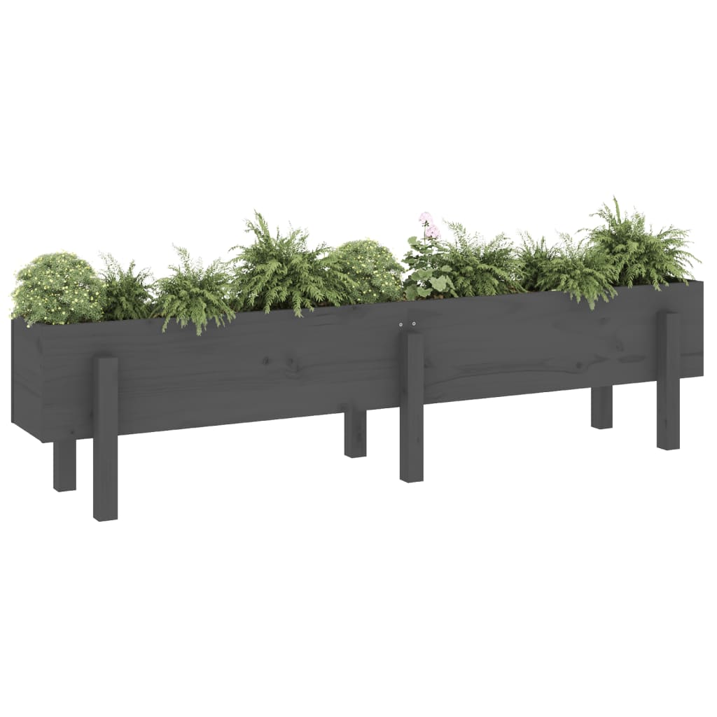 vidaXL Garden Raised Bed Grey 160x30x38 cm Solid Wood Pine