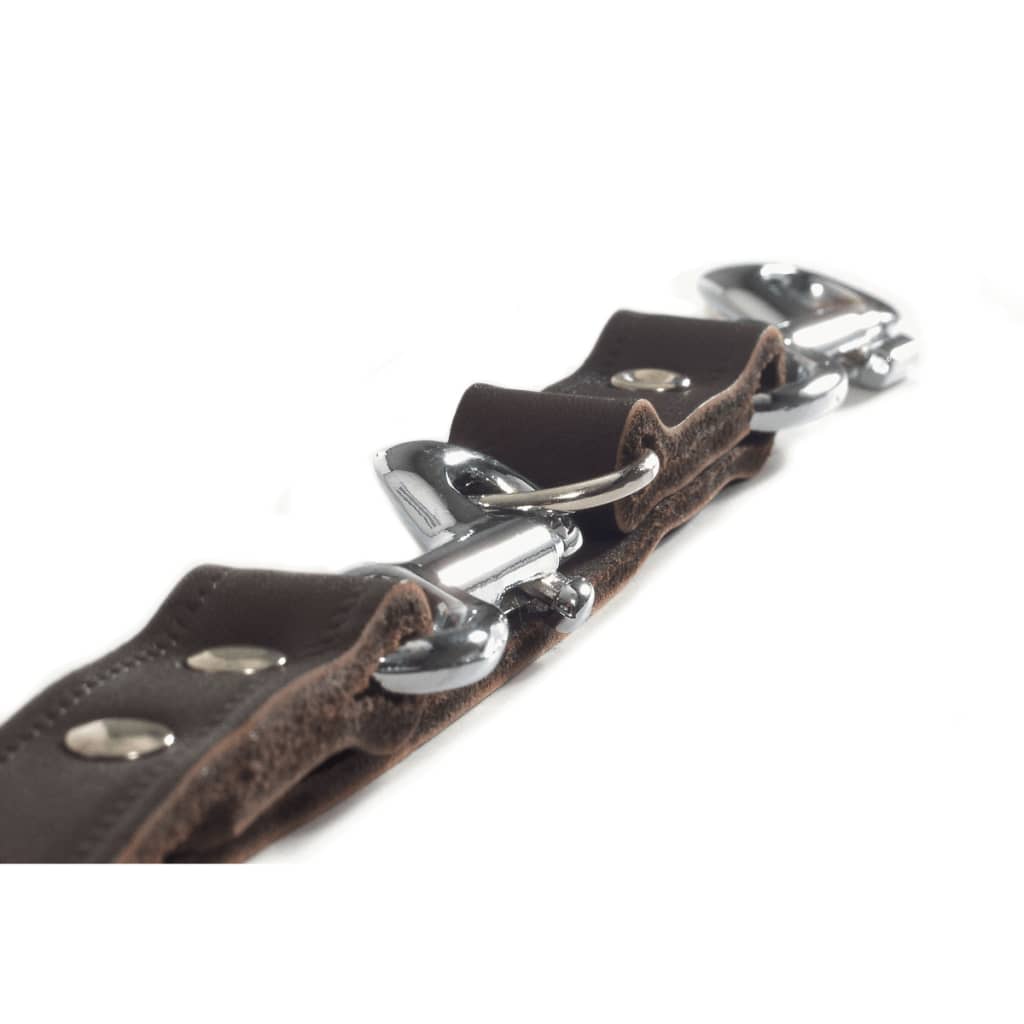 Beeztees Training Leash Leather Brown 200x1.8 cm 736402