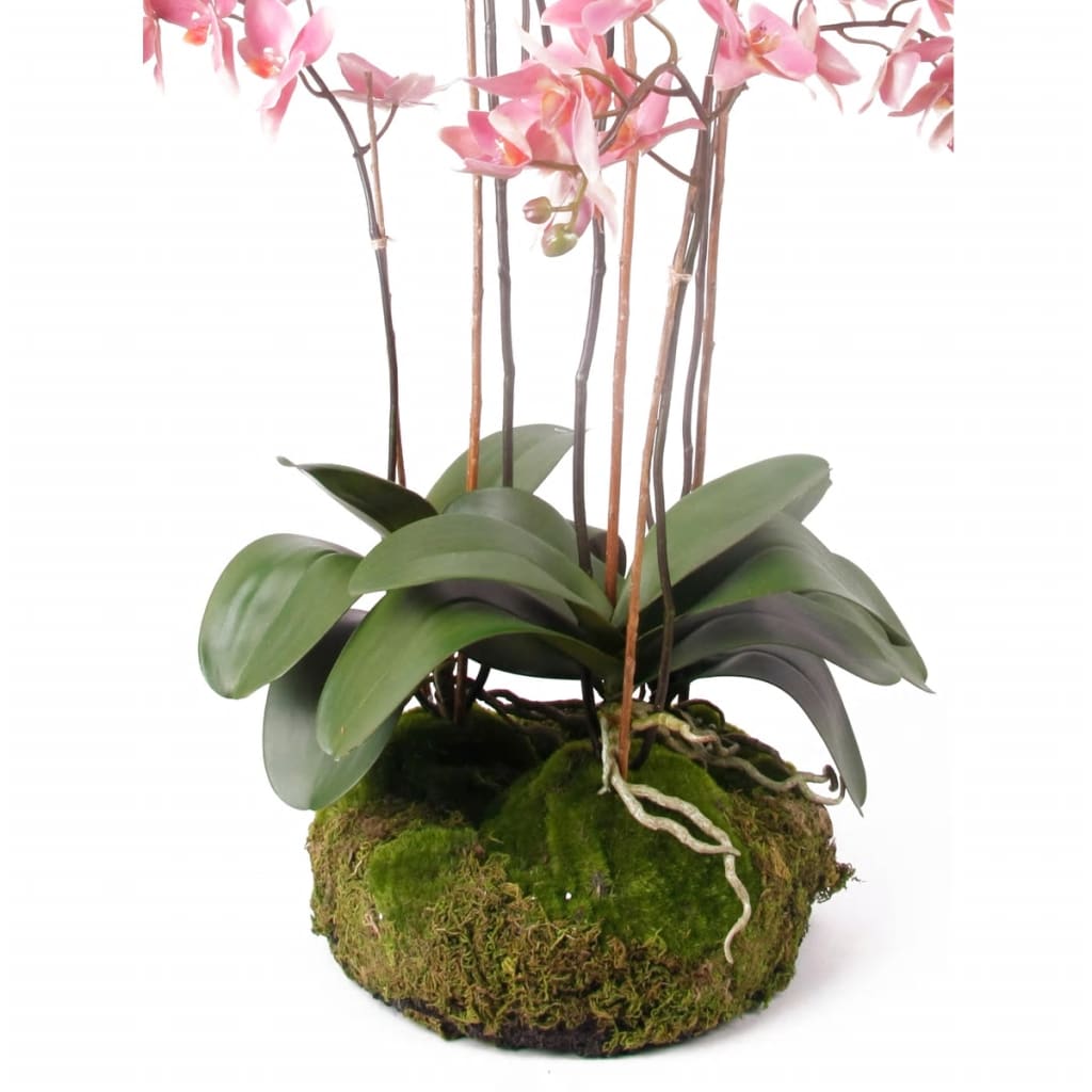 Emerald Artificial Phalaenopsis with Moss Pink 75 cm 417662