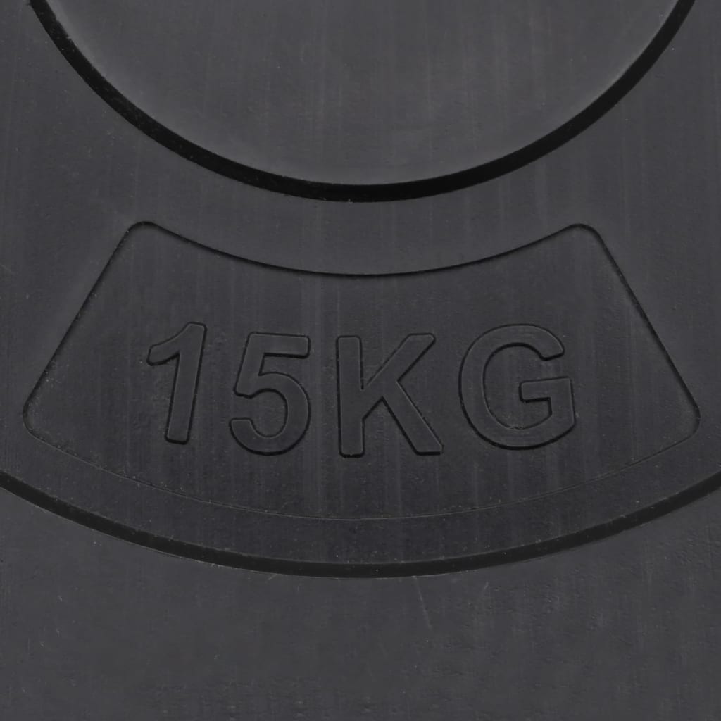 vidaXL Weight Plates 2 pcs 30 kg Cement