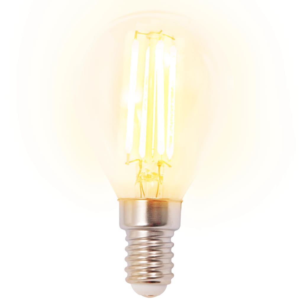 vidaXL Ceiling Lamp with 2 LED Filament Bulbs 8 W
