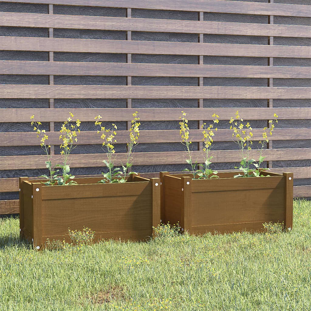 vidaXL Garden Planters 2 pcs Honey Brown 60x31x31 cm Solid Pinewood