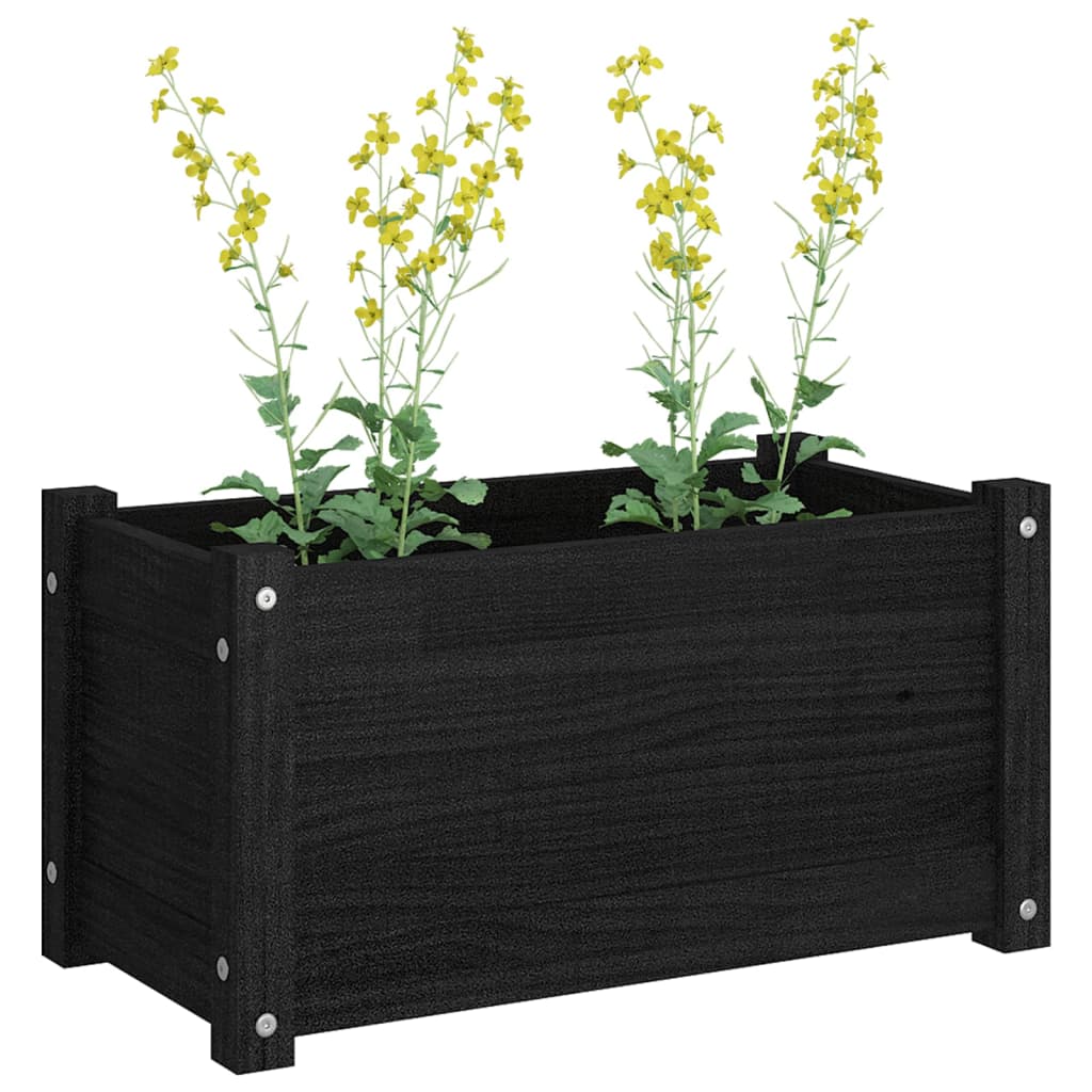 vidaXL Garden Planter Black 60x31x31 cm Solid Pinewood